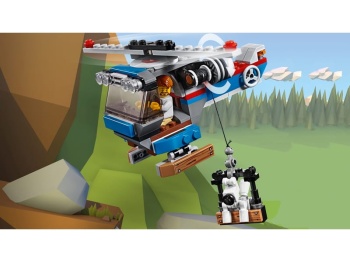 LEGO Creator 31075  Zabawy na dworze