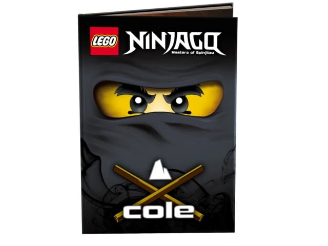 LEGO Ninjago LNR3T Cole