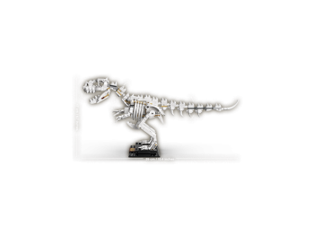 LEGO Ideas 21320 Szkielety dinozaurów