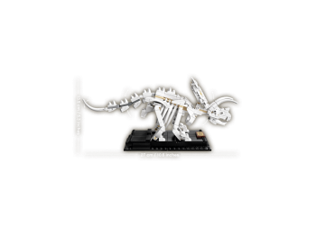 LEGO Ideas 21320 Szkielety dinozaurów