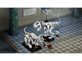 LEGO Ideas 21320 Szkielety dinozaurów