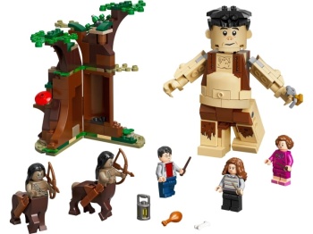 LEGO Harry Potter 75967 Zakazany Las