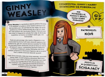 LEGO HARRY POTTER LHD-6401 Czarodzieje z Hogwartu. Przewodnik