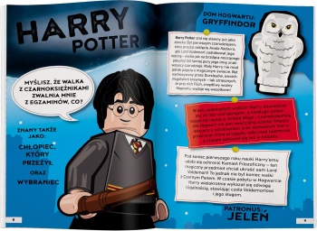 LEGO HARRY POTTER LHD-6401 Czarodzieje z Hogwartu. Przewodnik