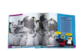 LEGO LIB-8 Nauka. Przygoda LEGO w prawdziwym świecie