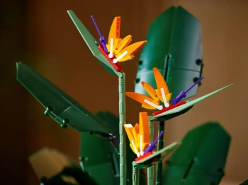 LEGO Creator 10289 Strelicja królewska