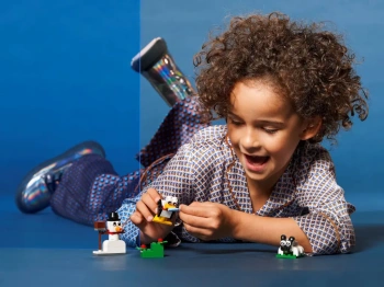 LEGO 11012 Classic Kreatywne białe klocki