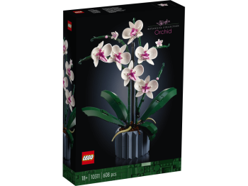 LEGO 10311 Icons Orchidea