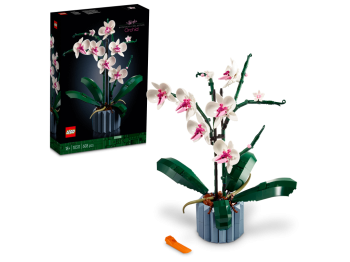 LEGO 10311 Icons Orchidea