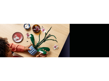 LEGO 10311 Icons Orchidea