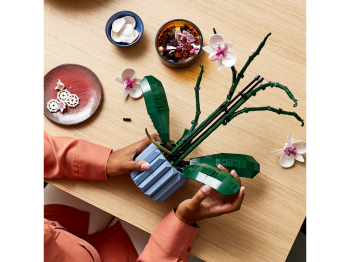 LEGO 10311 Icons Orchidea