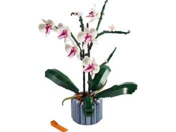 Orchidea z klocków LEGO 10311