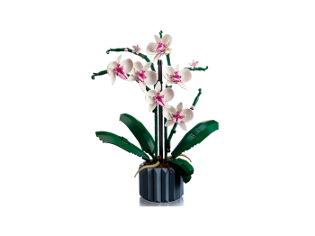 Orchidea LEGO 10311