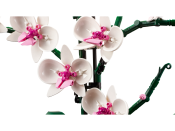 zestaw LEGO 10311 Icons Orchidea