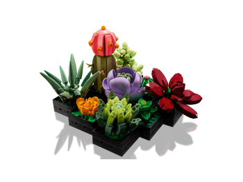 LEGO 10309 Icons Sukulenty