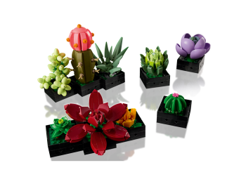 LEGO 10309 Icons Sukulenty