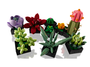 LEGO 10309 Icons Sukulenty