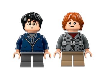 LEGO 76434 Harry Potter Aragog w Zakazanym Lesie