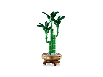 LEGO 10344 Botanicals  Dracena sandera