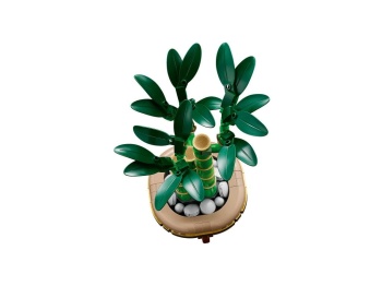 LEGO 10344 Botanicals  Dracena sandera