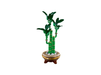 LEGO 10344 Botanicals  Dracena sandera