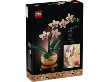 LEGO 10343 Botanicals  Mała orchidea