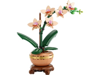 LEGO 10343 Botanicals  Mała orchidea