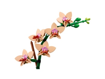 LEGO 10343 Botanicals  Mała orchidea