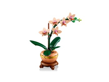 LEGO 10343 Botanicals  Mała orchidea