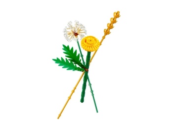 LEGO 30701 Botanicals Kwiaty polne