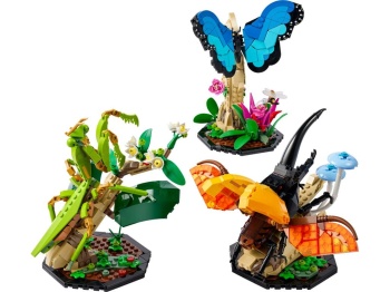 LEGO 21342 Ideas Kolekcja owadów