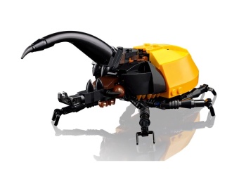 LEGO 21342 Ideas Kolekcja owadów