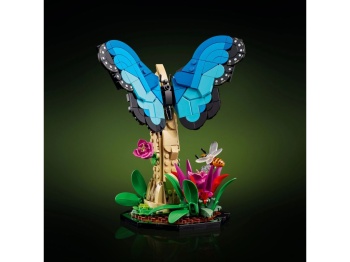 LEGO 21342 Ideas Kolekcja owadów