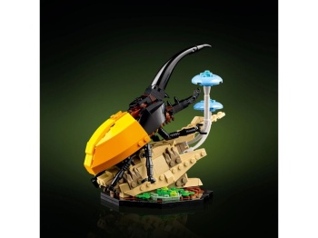 LEGO 21342 Ideas Kolekcja owadów