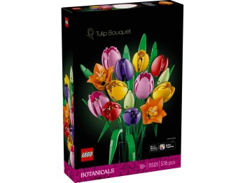 LEGO 11501 Botanicals Bukiet tulipanów