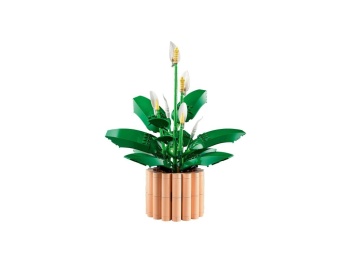 LEGO 11504 Botanicals Skrzydłokwiat