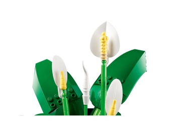 LEGO 11504 Botanicals Skrzydłokwiat