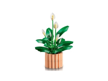 LEGO 11504 Botanicals Skrzydłokwiat