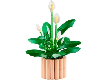 LEGO 11504 Botanicals Skrzydłokwiat