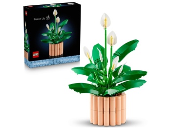 LEGO 11504 Botanicals Skrzydłokwiat