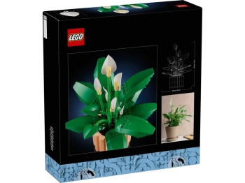 LEGO 11504 Botanicals Skrzydłokwiat