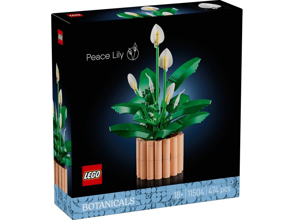 LEGO 11504 Botanicals Skrzydłokwiat