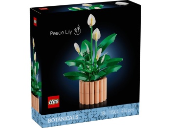 LEGO 11504 Botanicals Skrzydłokwiat