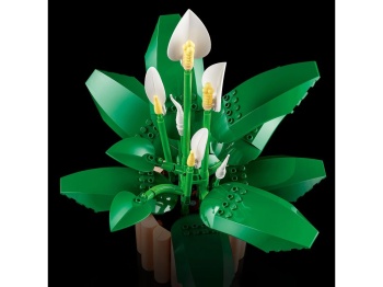 LEGO 11504 Botanicals Skrzydłokwiat