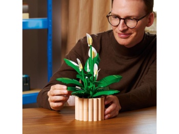 LEGO 11504 Botanicals Skrzydłokwiat