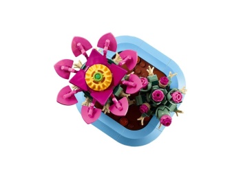 LEGO 11509 Botanicals Kwitnący kaktus