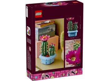 LEGO 11509 Botanicals Kwitnący kaktus