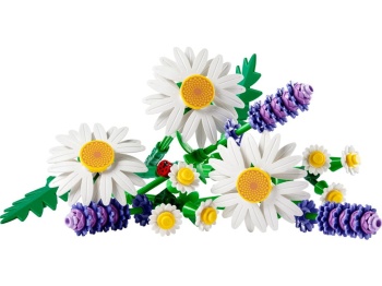 LEGO 11508 Botanicals Stokrotki