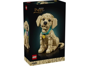 LEGO 11384 ICONS  Szczeniak golden retriever
