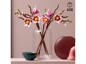 11510 Gałązki magnolii